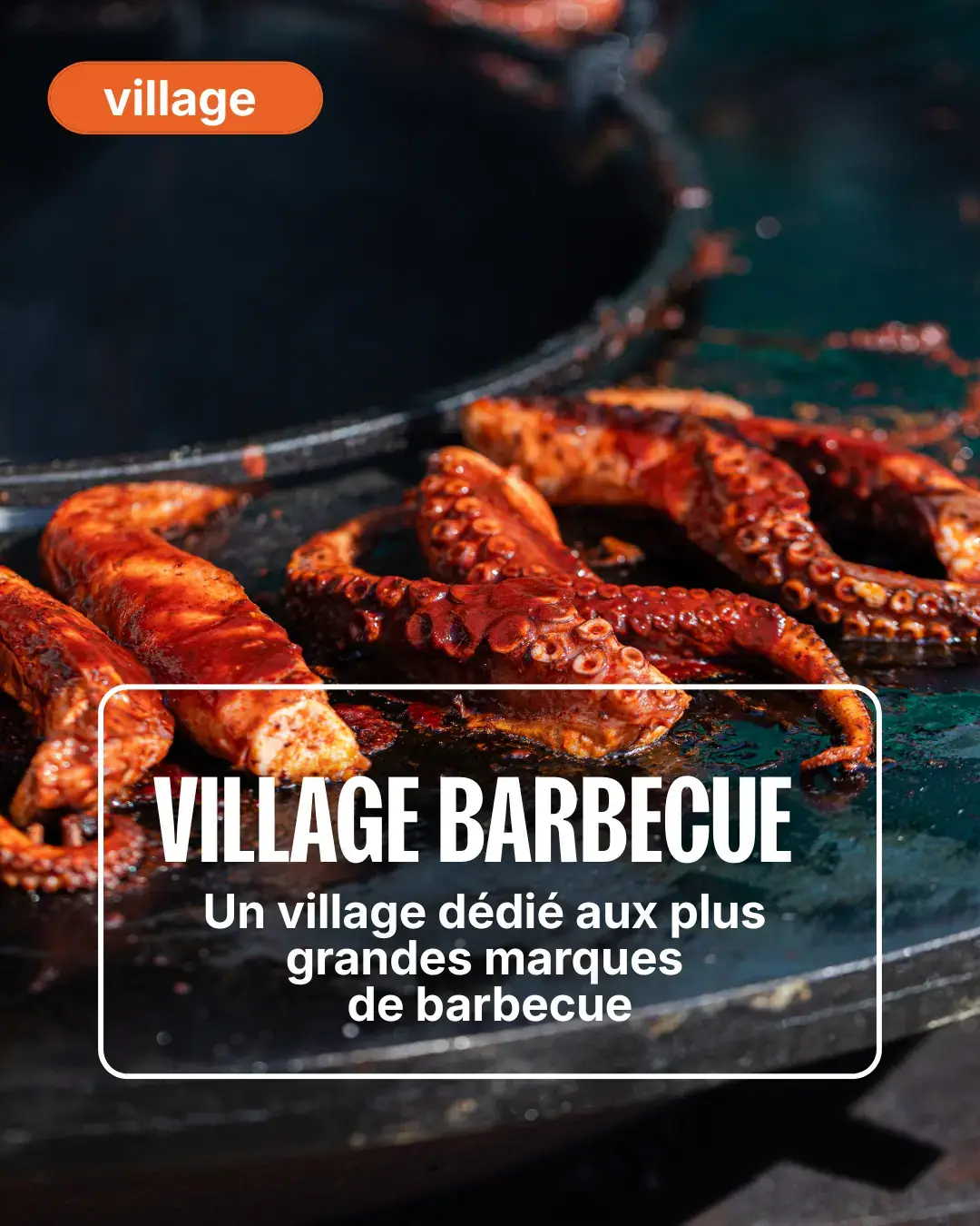 Marques & Produits BBQ