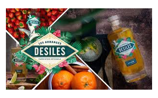 Logo L'ATELIER DESILES